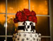 Robin and Rons Fontenot Wedding